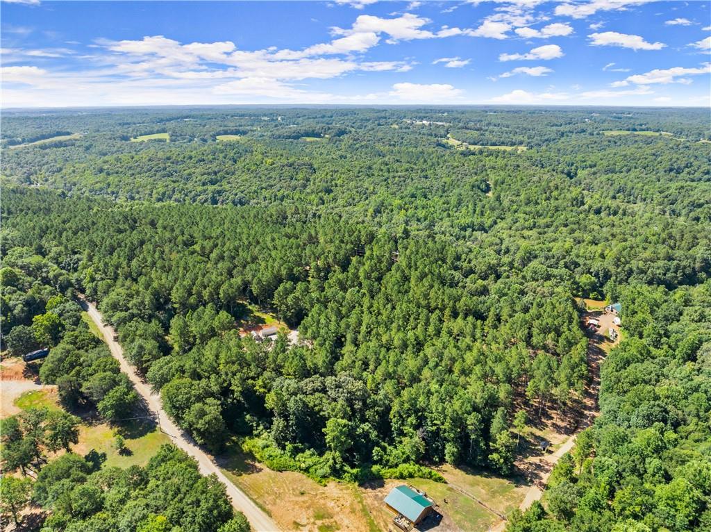318 Jim Grizzle Road Royston, GA 30662 - Photo 50 of 56 a view of a green field