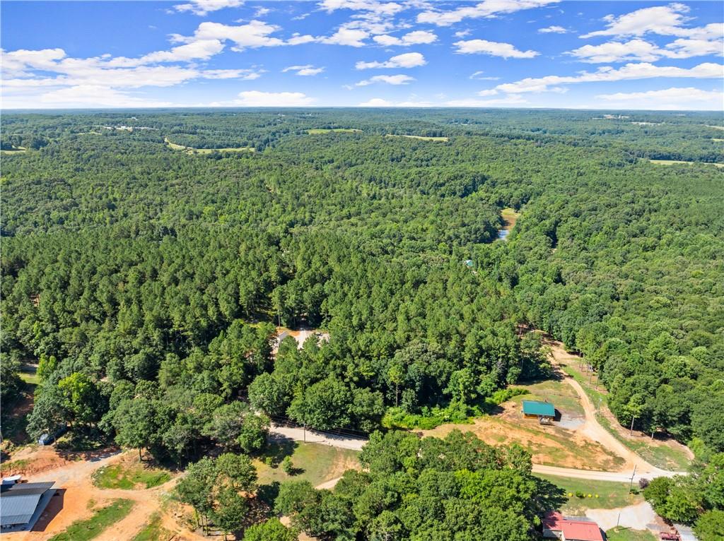 318 Jim Grizzle Road Royston, GA 30662 - Photo 51 of 56 a view of a lush green outdoor space with a lake view and mountain view