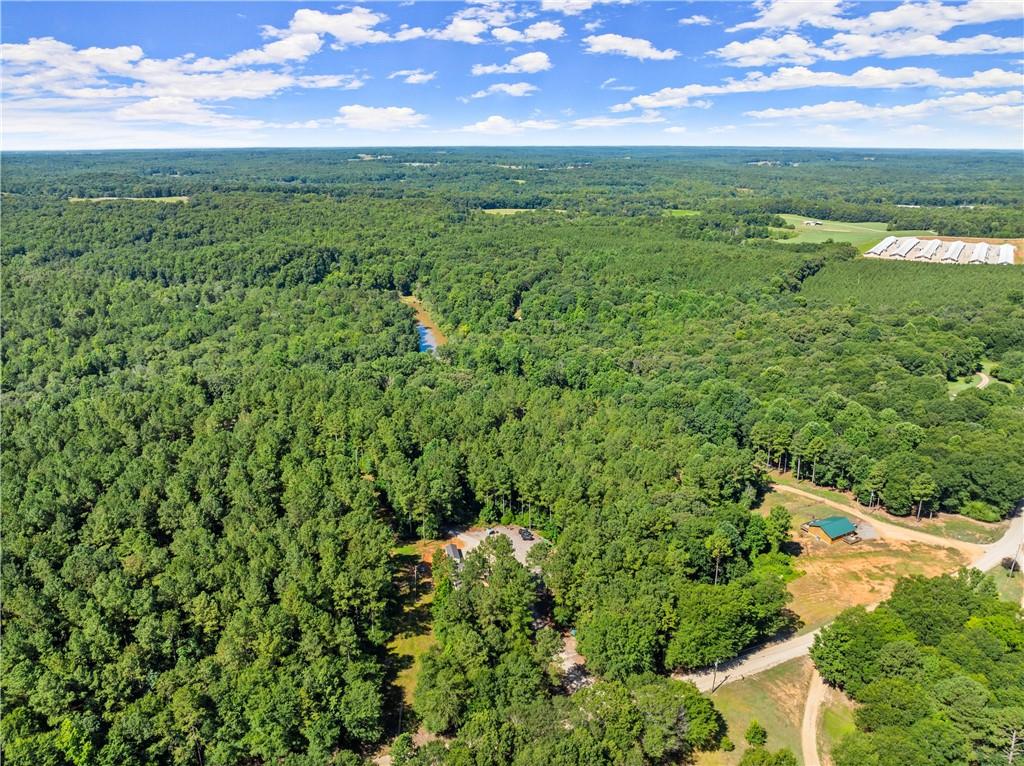 318 Jim Grizzle Road Royston, GA 30662 - Photo 52 of 56 a view of a big yard with lots of green space