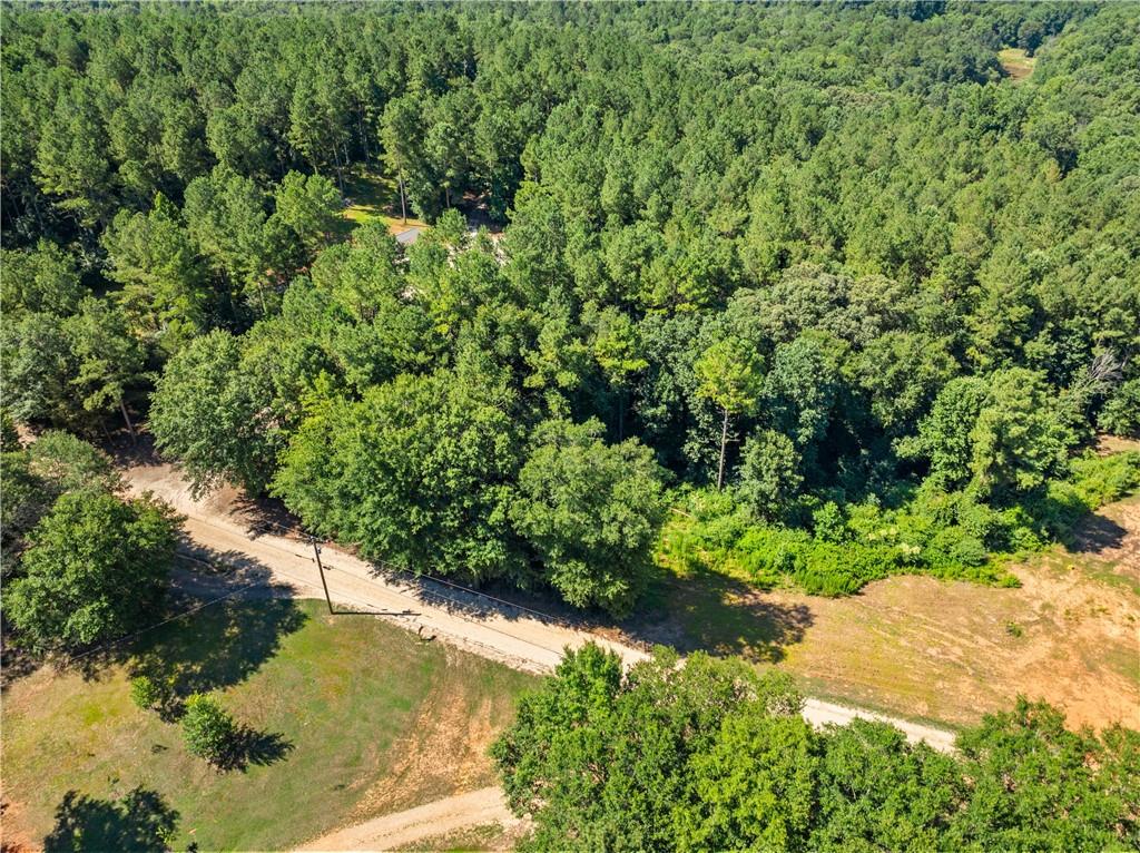 318 Jim Grizzle Road Royston, GA 30662 - Photo 53 of 56 a view of a garden with a tree