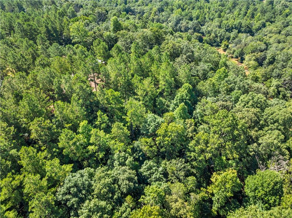 318 Jim Grizzle Road Royston, GA 30662 - Photo 55 of 56