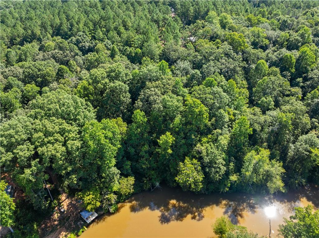 318 Jim Grizzle Road Royston, GA 30662 - Photo 56 of 56 an aerial view of residential house with outdoor space and trees all around