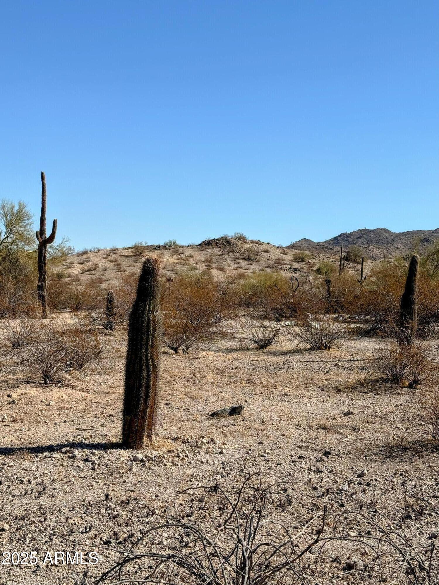 8564 San Filipe Drive, Unit 4 Goodyear, AZ 85338 - Photo 9 of 15 a view of a dry yard with wooden fence
