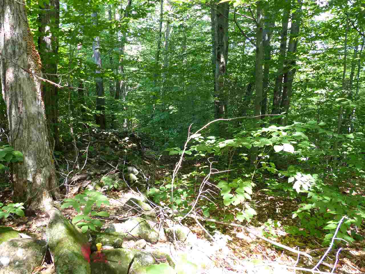 0 Libby Road, Unit R8 25 North Sandwich, NH 03259 - Photo 6 of 40