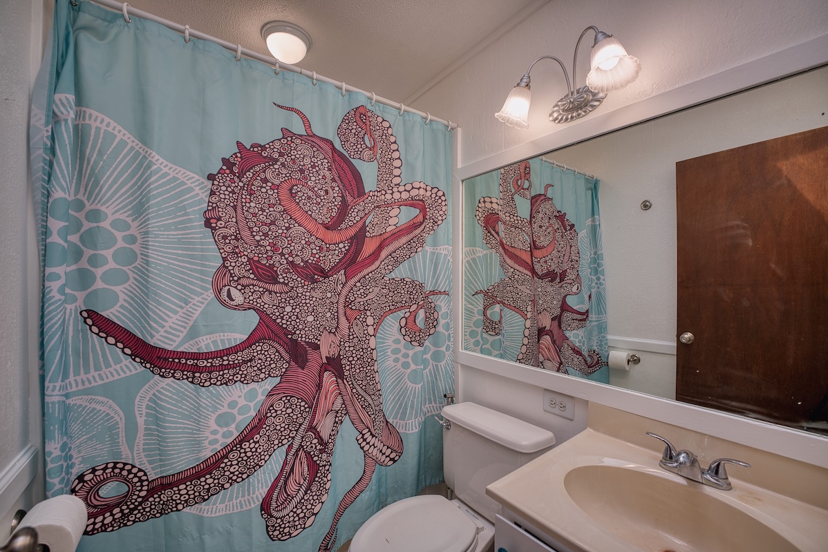 173 Opio Road Hilo, HI 96720 - Photo 25 of 27 a bathroom with a sink mirror vanity and toilet