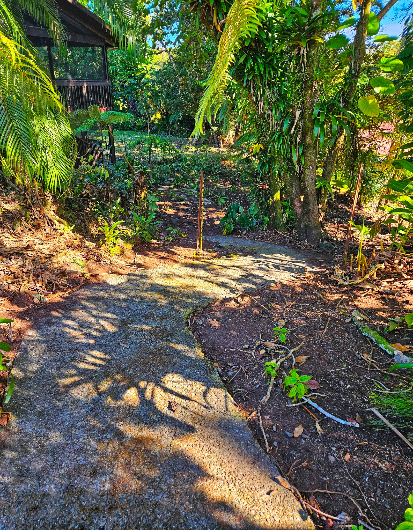 173 Opio Road Hilo, HI 96720 - Photo 7 of 27 a backyard of a house with lots of green space