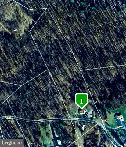 a view of a backyard with plants and a patio