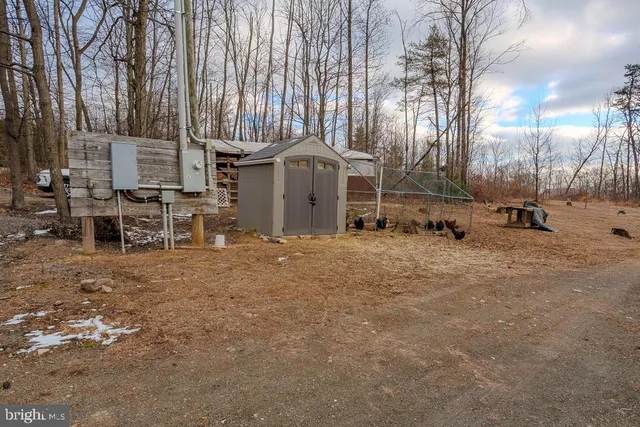 a view of backyard with green space