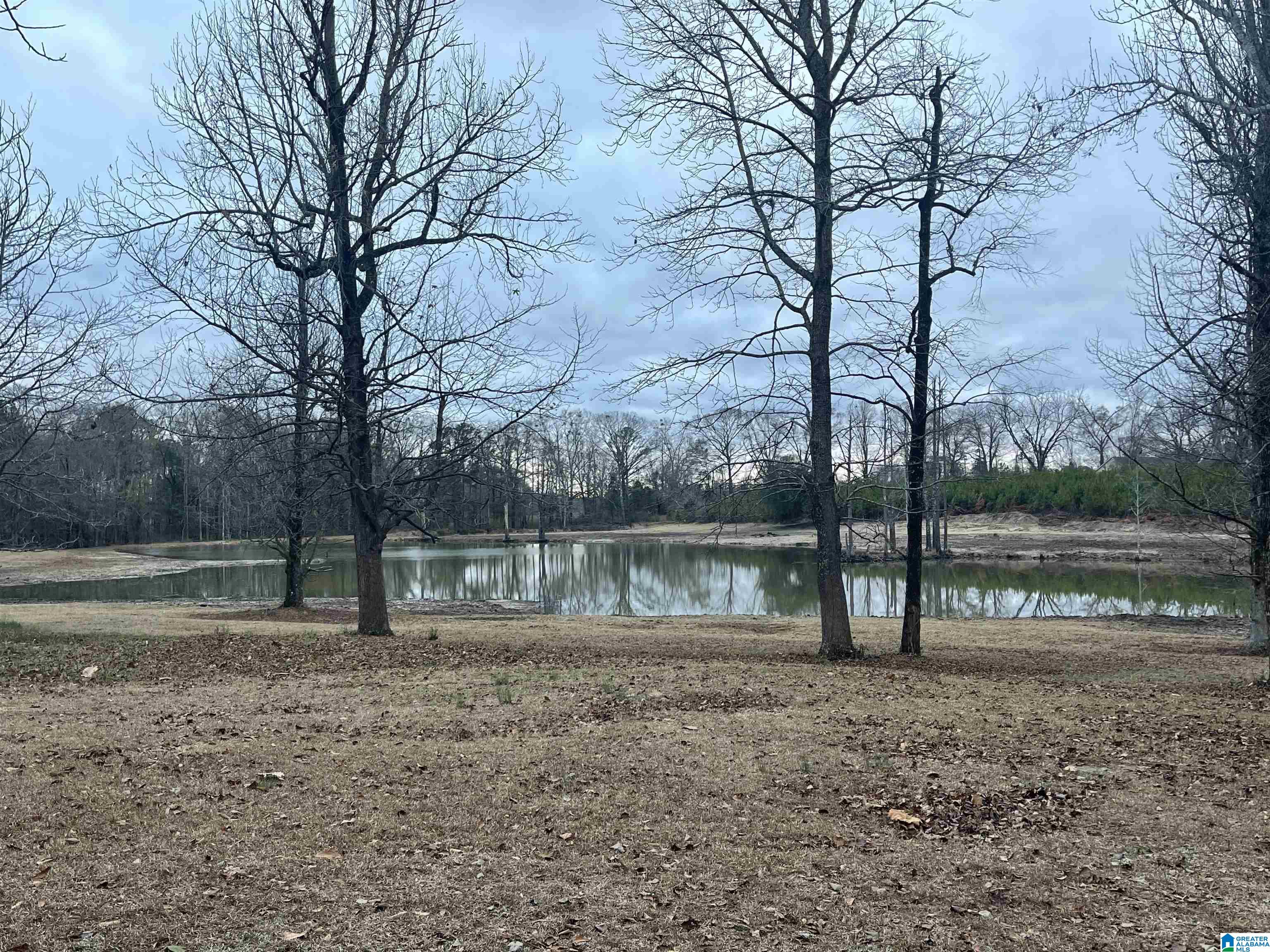 175 County Road 753 Clanton, AL 35045 - Photo 15 of 50