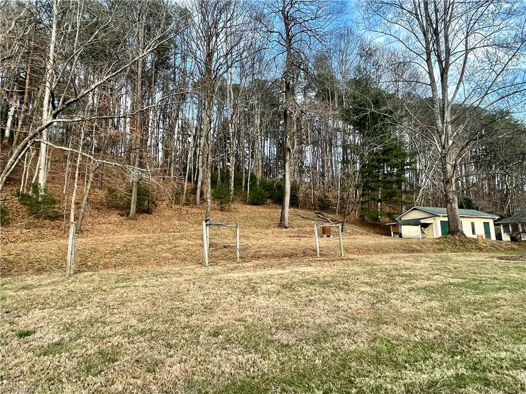 650 Carson Creek Road Lowgap, NC 27024 - Photo 34 of 39