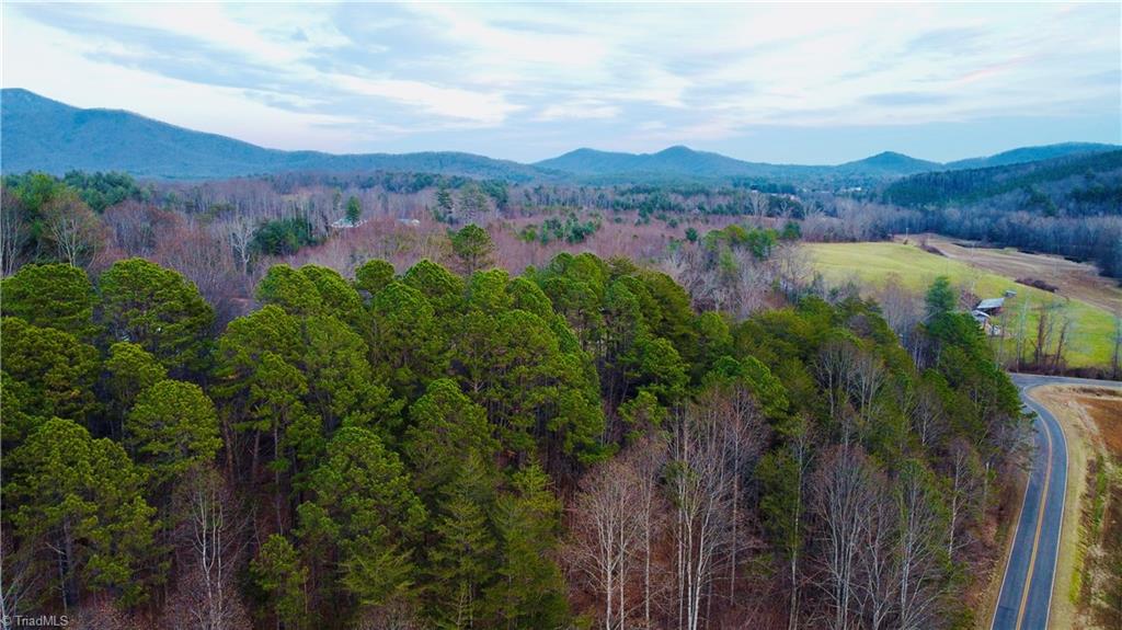650 Carson Creek Road Lowgap, NC 27024 - Photo 37 of 39