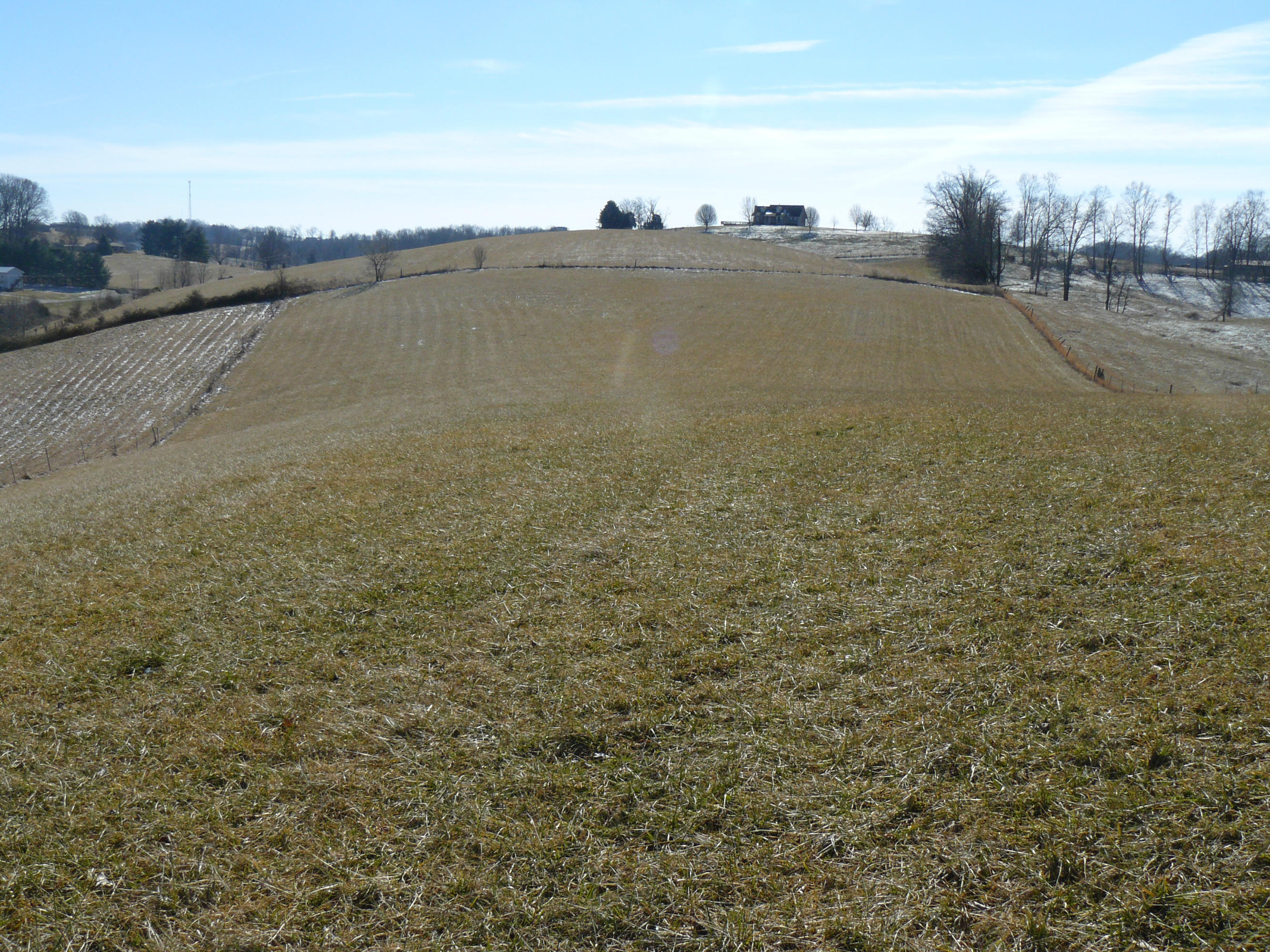 13-acres Holt Ridge Road Tazewell, TN 37879 - Photo 1 of 6 P1360397