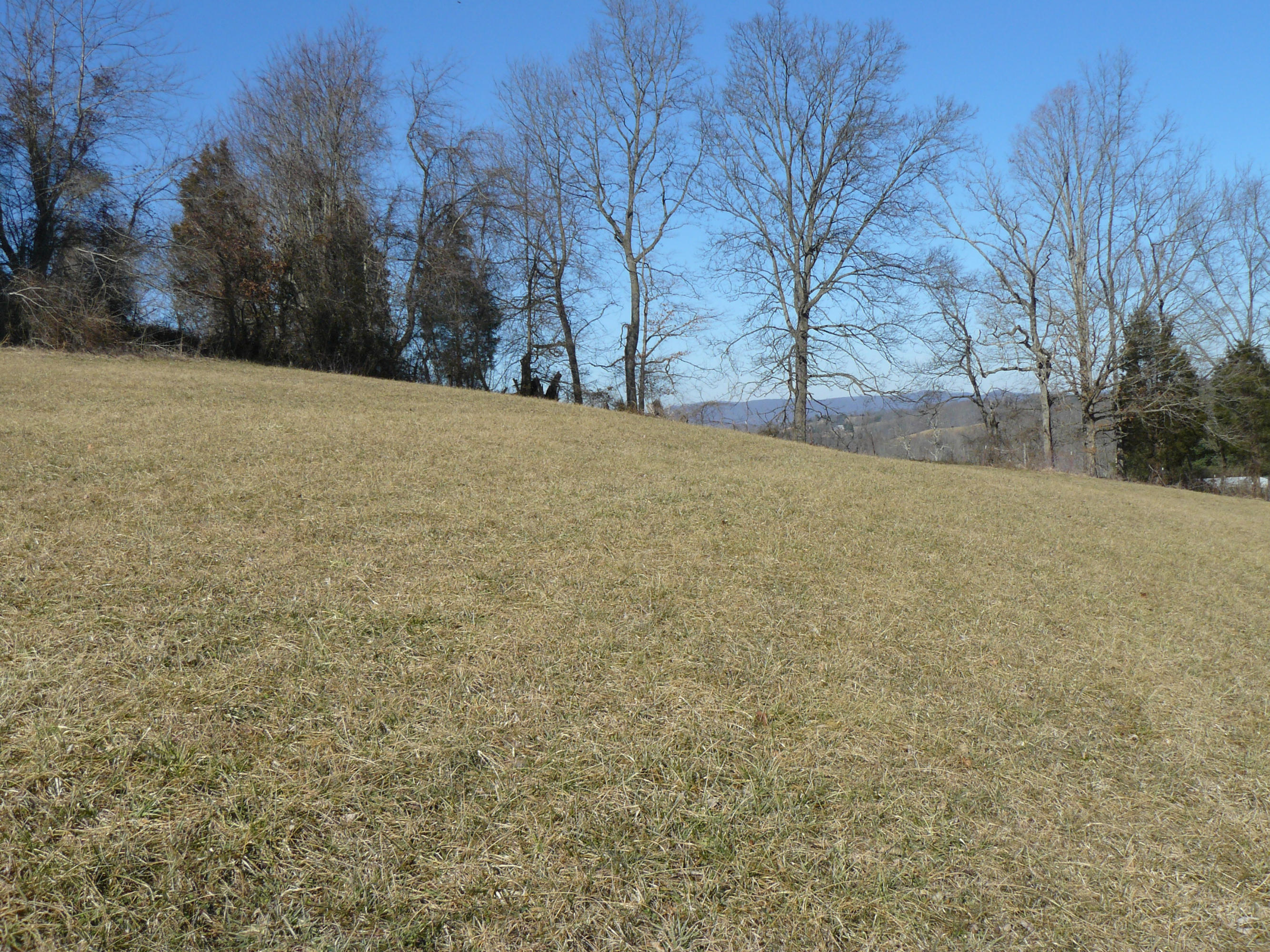 13-acres Holt Ridge Road Tazewell, TN 37879 - Photo 2 of 6 P1360399