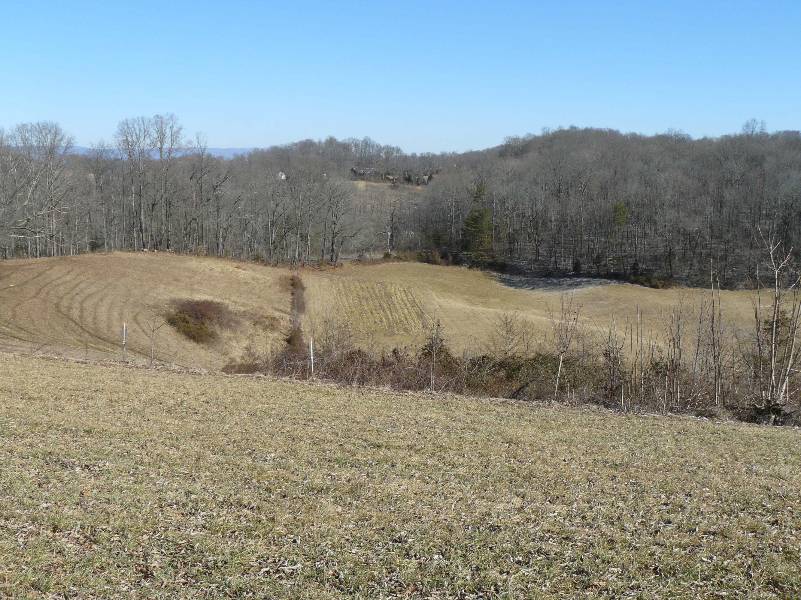 13-acres Holt Ridge Road Tazewell, TN 37879 - Photo 3 of 6 P1360395