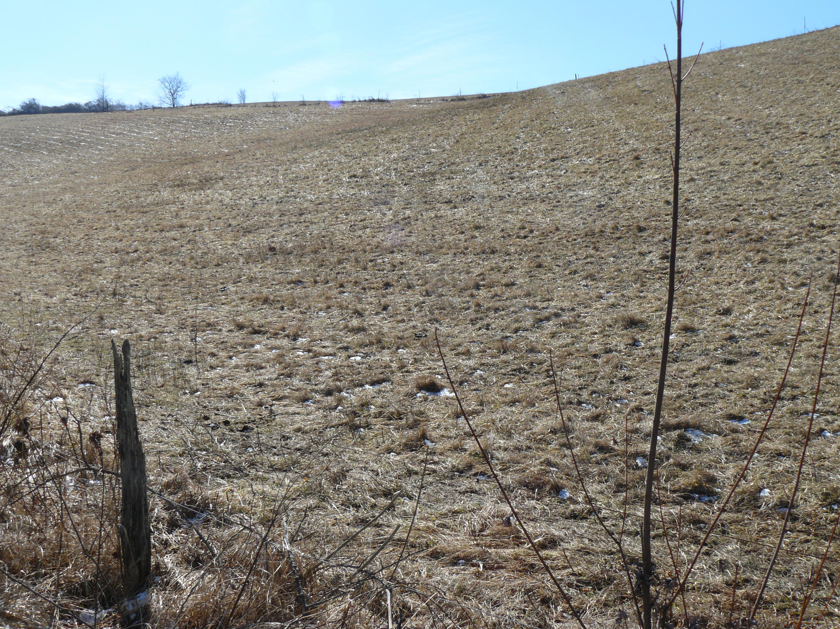 13-acres Holt Ridge Road Tazewell, TN 37879 - Photo 4 of 6 P1360403