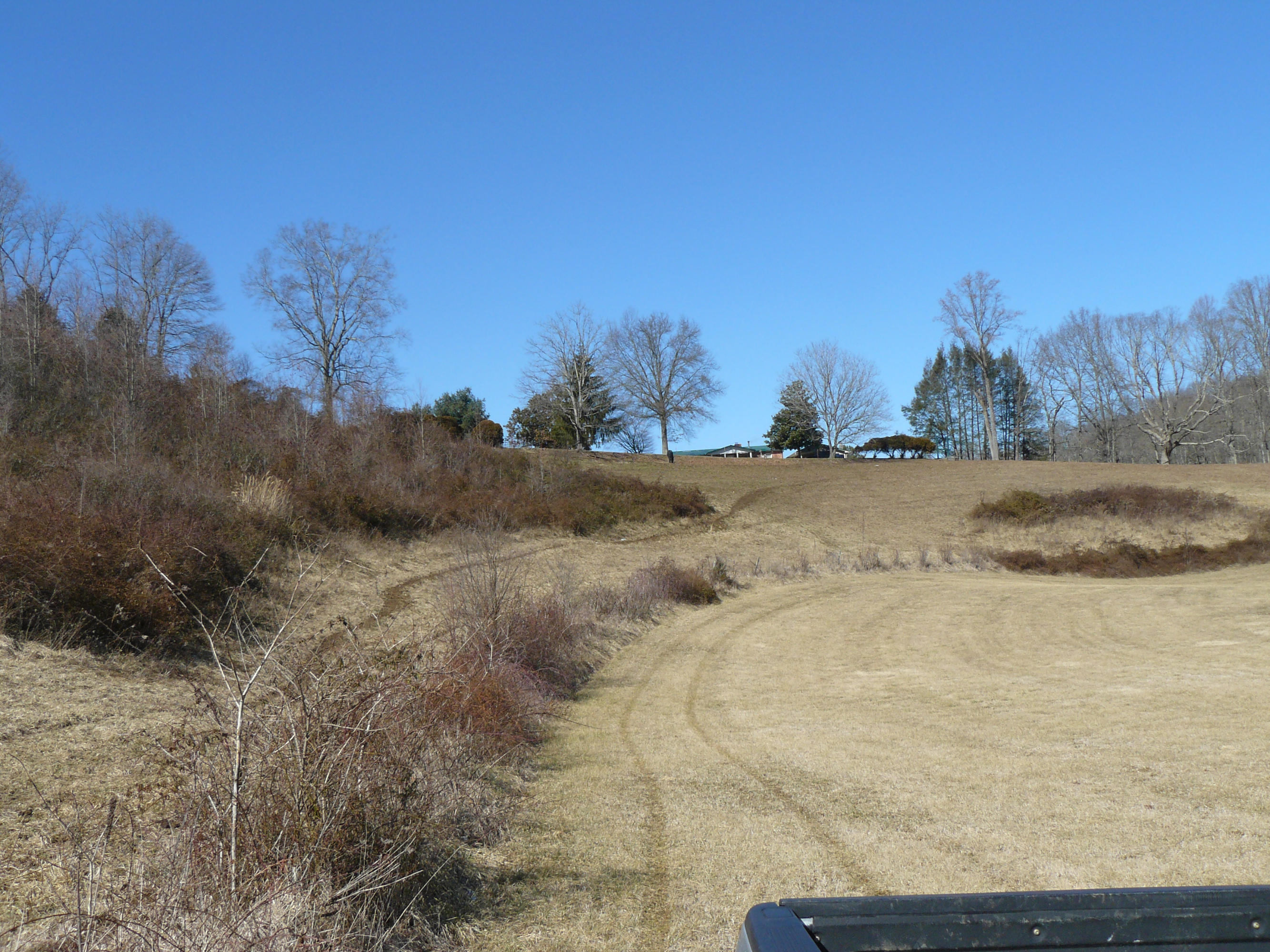13-acres Holt Ridge Road Tazewell, TN 37879 - Photo 5 of 6 P1360404