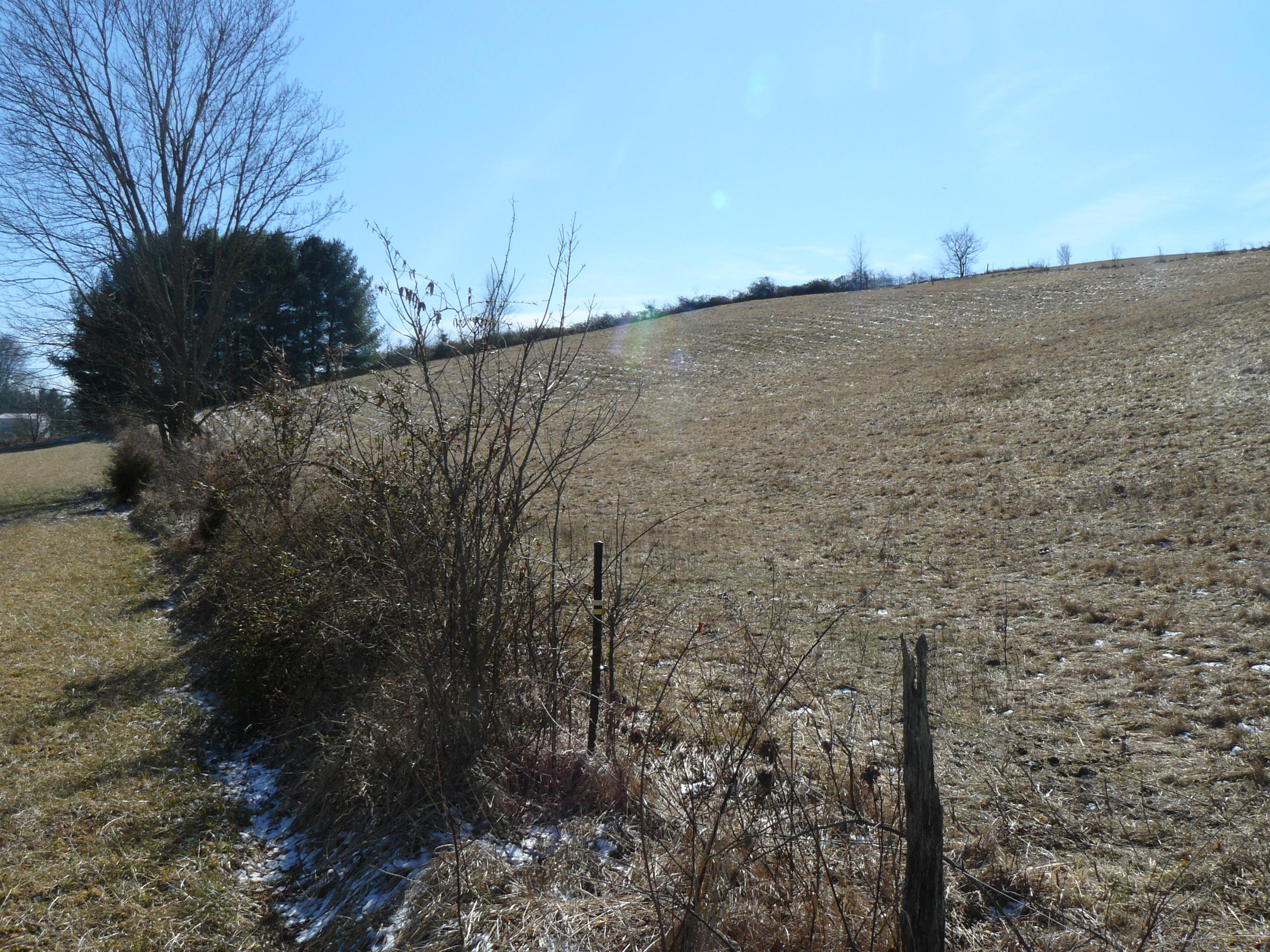13-acres Holt Ridge Road Tazewell, TN 37879 - Photo 6 of 6 P1360405