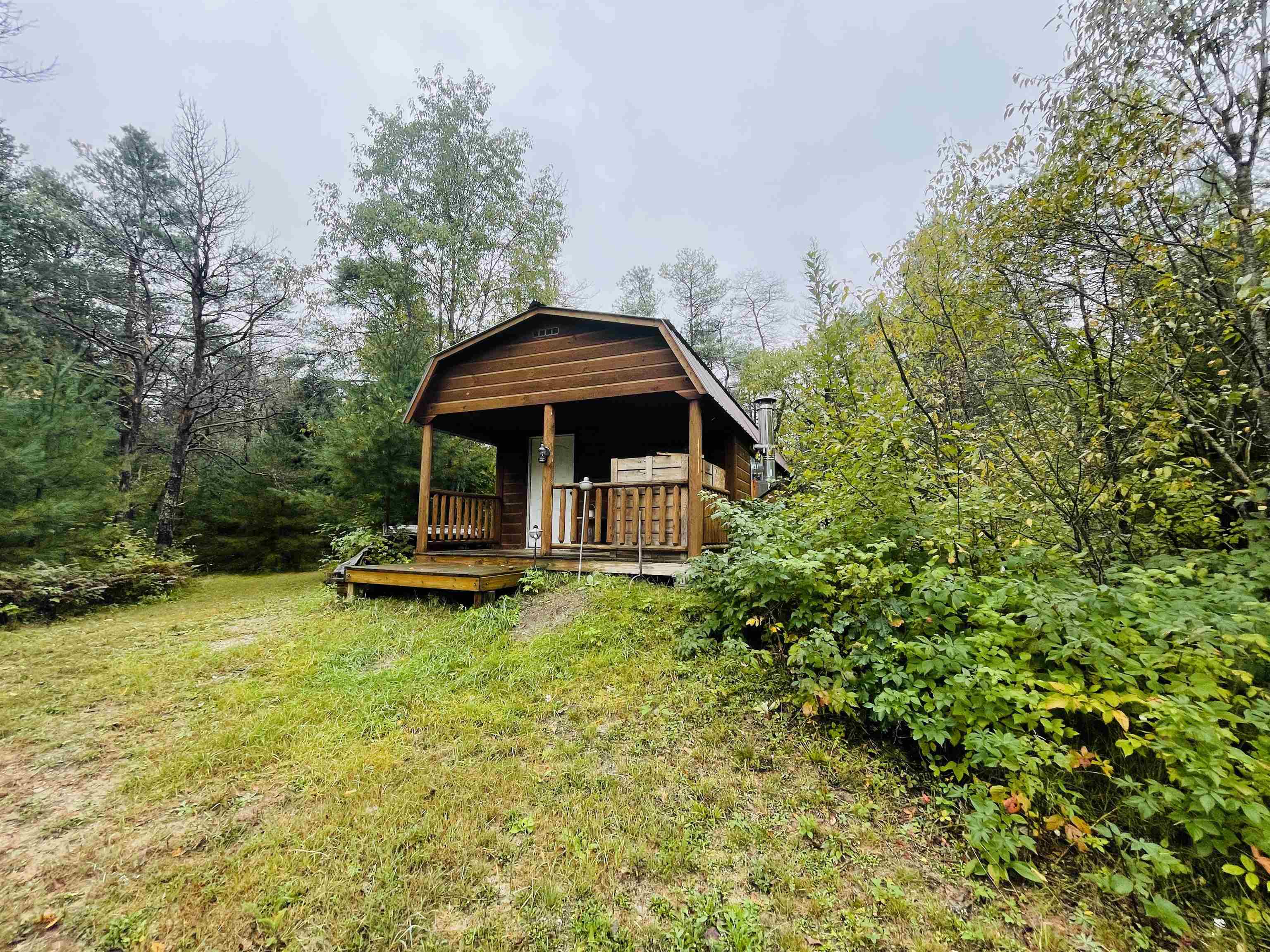 0 East 20 Road Manton, MI 49663 - Photo 2 of 28 1905377-1.JPG