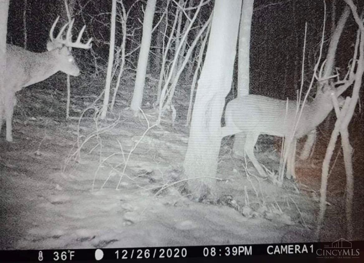 0 Reel Ridge Road Stout, OH 45684 - Photo 15 of 49