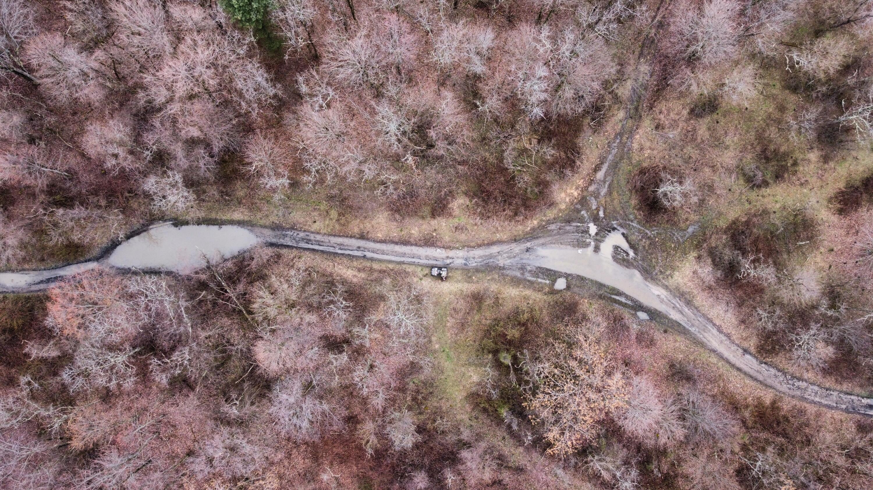 9999 Pinsonfork Road McAndrews, KY 41543 - Photo 4 of 19 dji_fly_20240302_151152_338_170941034354