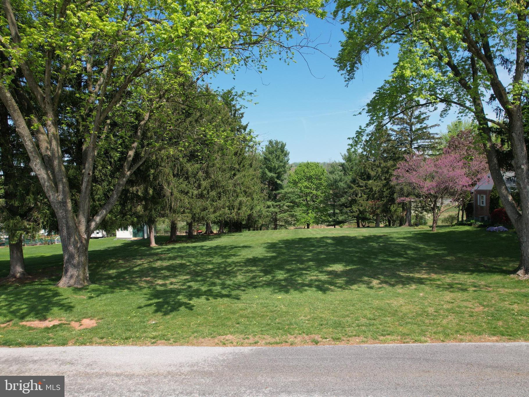 a view of a grassy field with trees