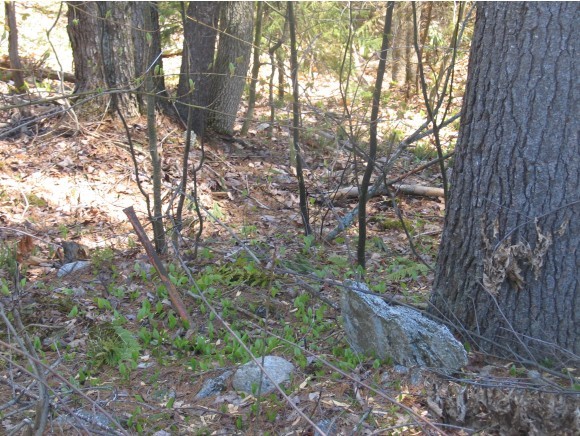 Lot 9 Stark Road Lempster, NH 03605 - Photo 1 of 1