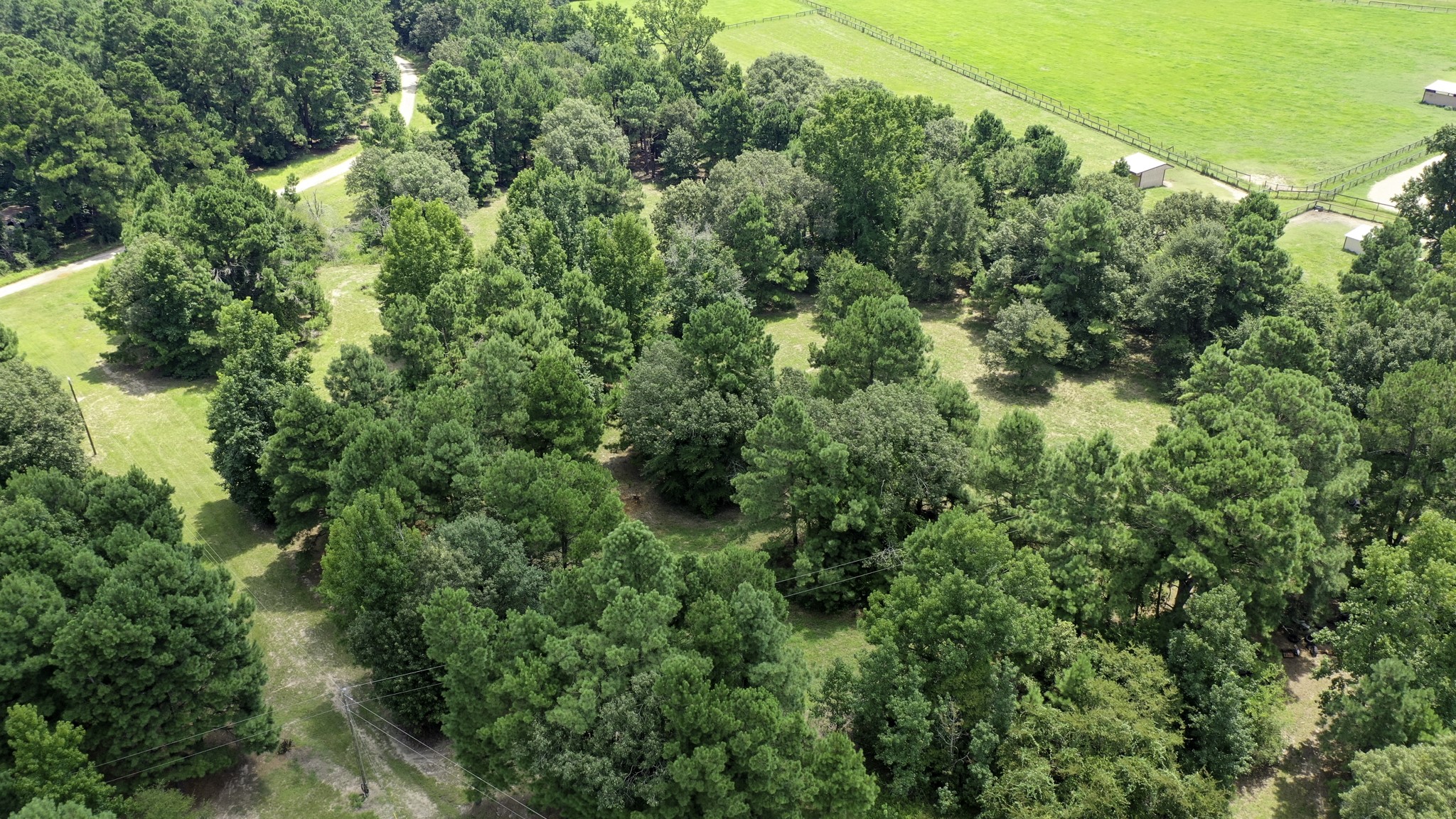 8374 Cattle Trail Road Midway, TX 75852 - Photo 11 of 16 an aerial view of residential houses with outdoor space and trees