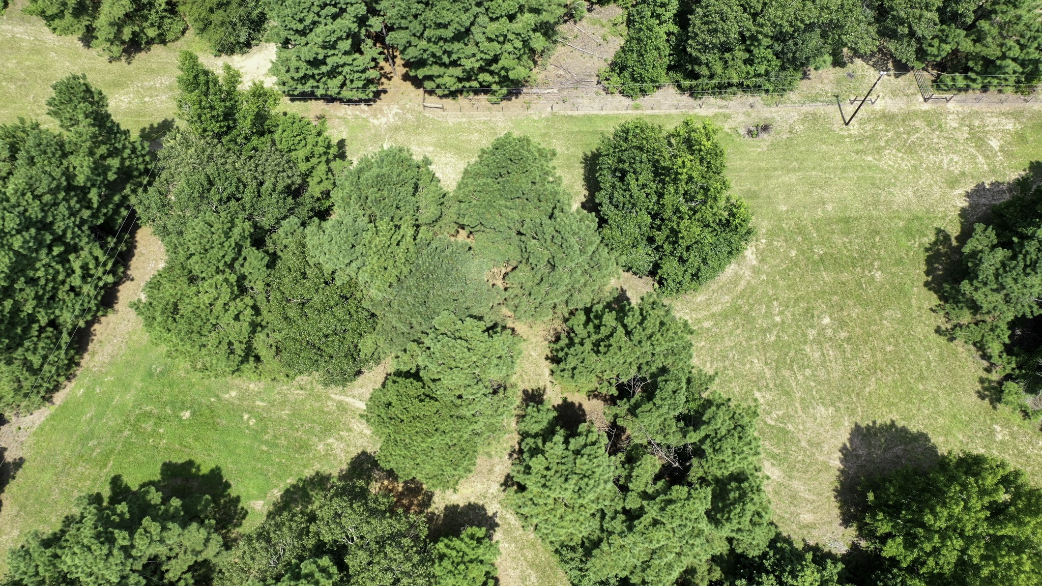 8374 Cattle Trail Road Midway, TX 75852 - Photo 14 of 16 a view of a garden