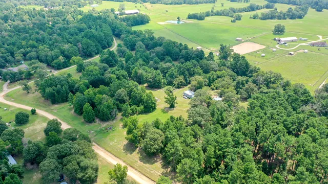 an aerial view of residential houses with outdoor space and trees