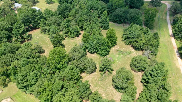 an aerial view of residential houses with outdoor space and trees