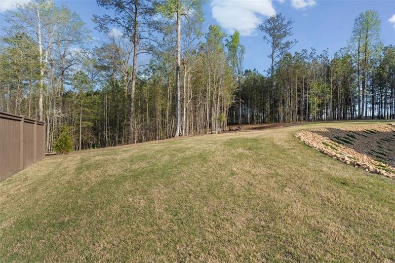 283 London Road Ball Ground, GA 30107 - Photo 56 of 73 a view of a yard with trees