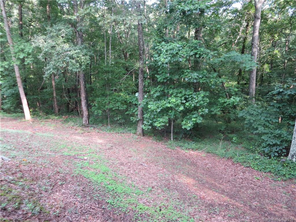 470 River Ridge Parkway Rutherfordton, NC 28139 - Photo 14 of 15 a view of a field with trees in the background