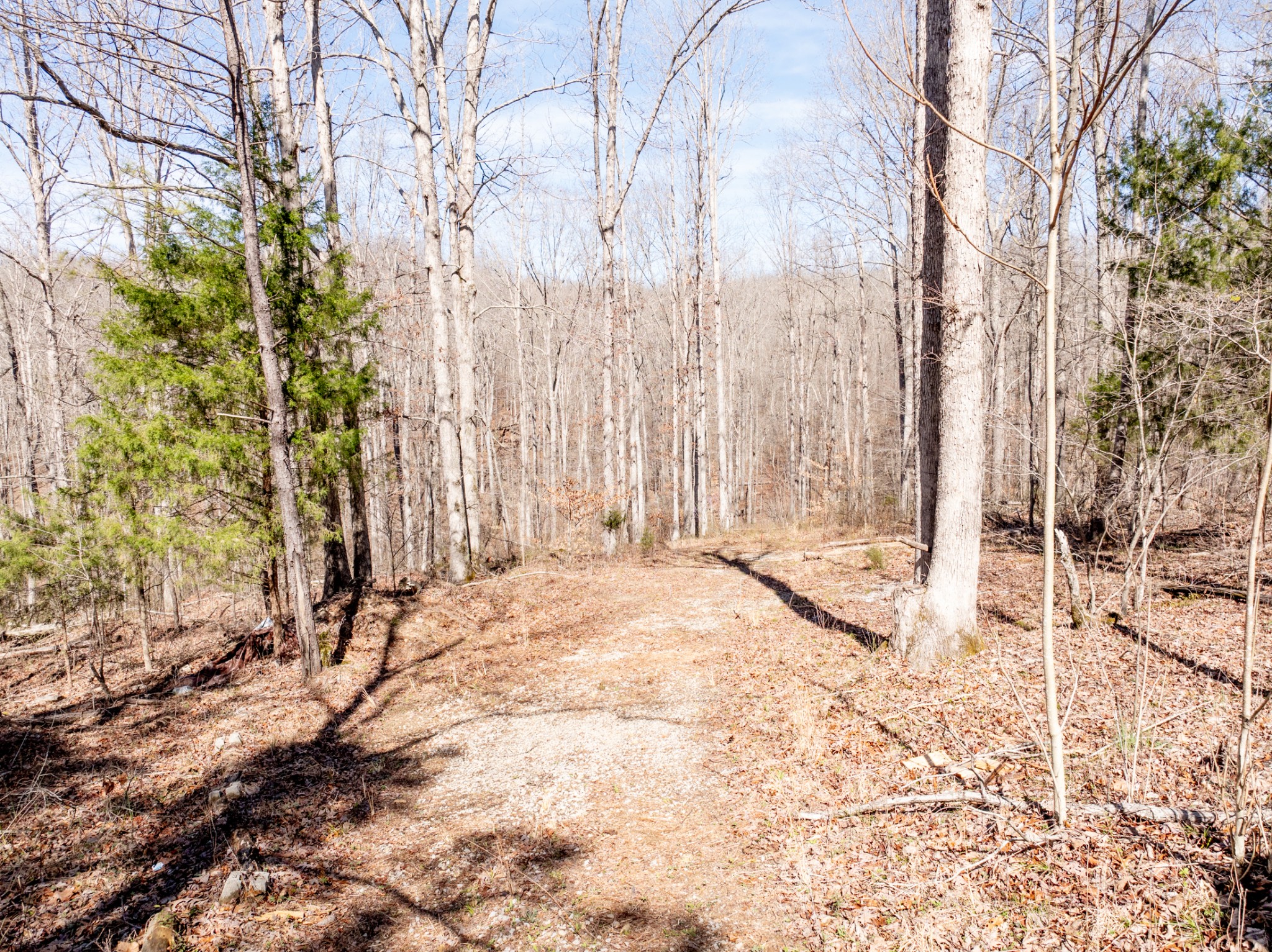 10348 Sugar Camp Road Bon Aqua, TN 37025 - Photo 20 of 20 Gallery Image 20