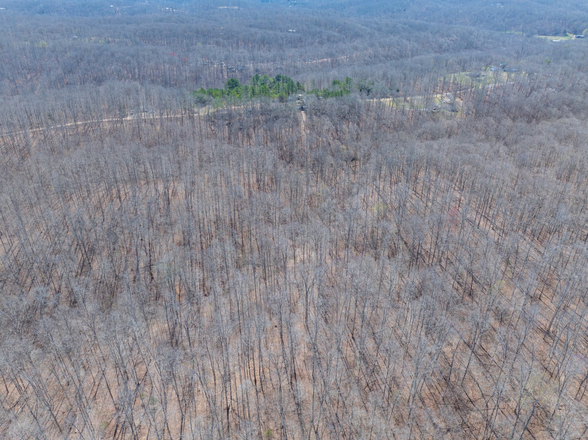 10348 Sugar Camp Road Bon Aqua, TN 37025 - Photo 8 of 20 Gallery Image 8