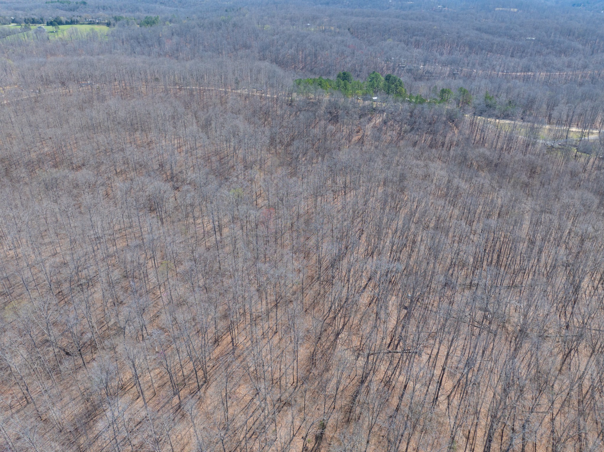 10348 Sugar Camp Road Bon Aqua, TN 37025 - Photo 9 of 20 Gallery Image 9