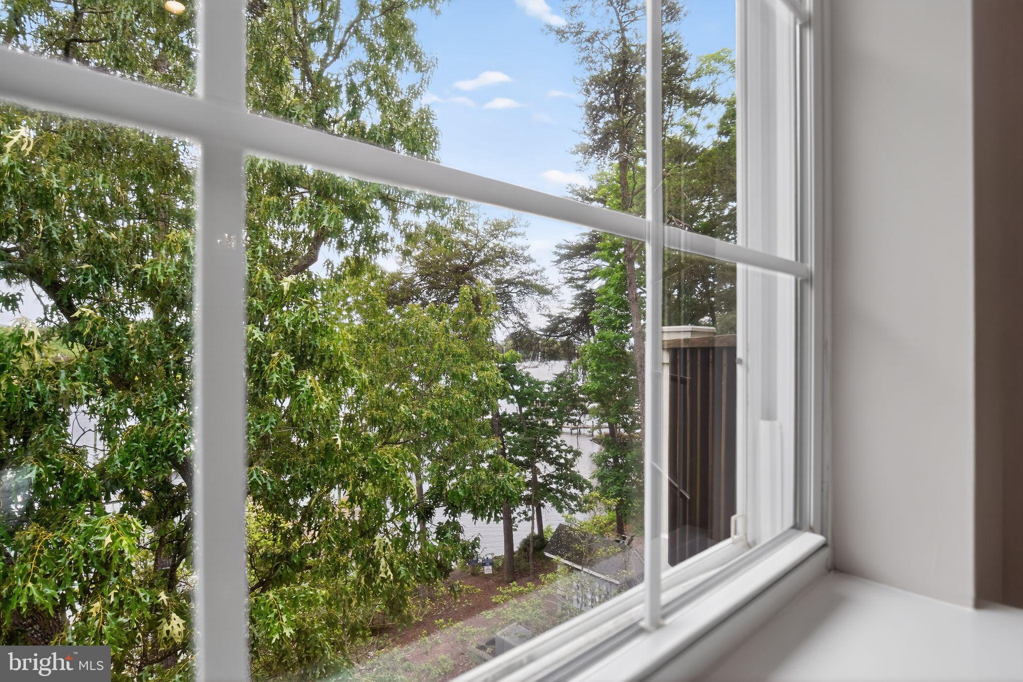 733 Runabout Loop, Unit 733 Solomons, MD 20688 - Photo 7 of 50 Water view