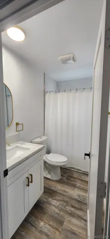 a bathroom with a sink a toilet and shower