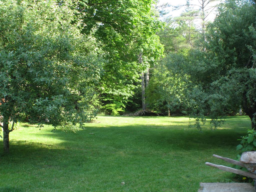 286 Millbrook Road Thornton, NH 03285 - Photo 4 of 40