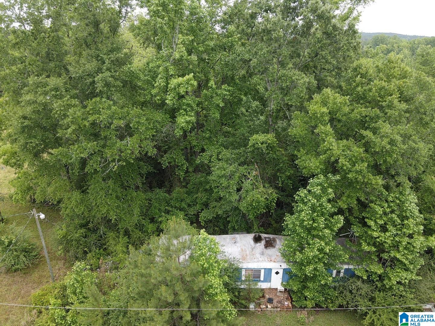 Edna Road, Unit 1 Ward, AL 36922 - Photo 7 of 9