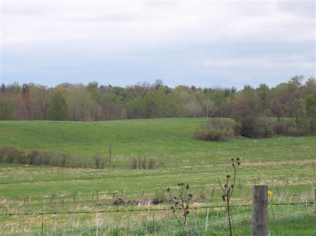 105 Durope Road Root, NY 12166 - Photo 5 of 12 Photo 5
