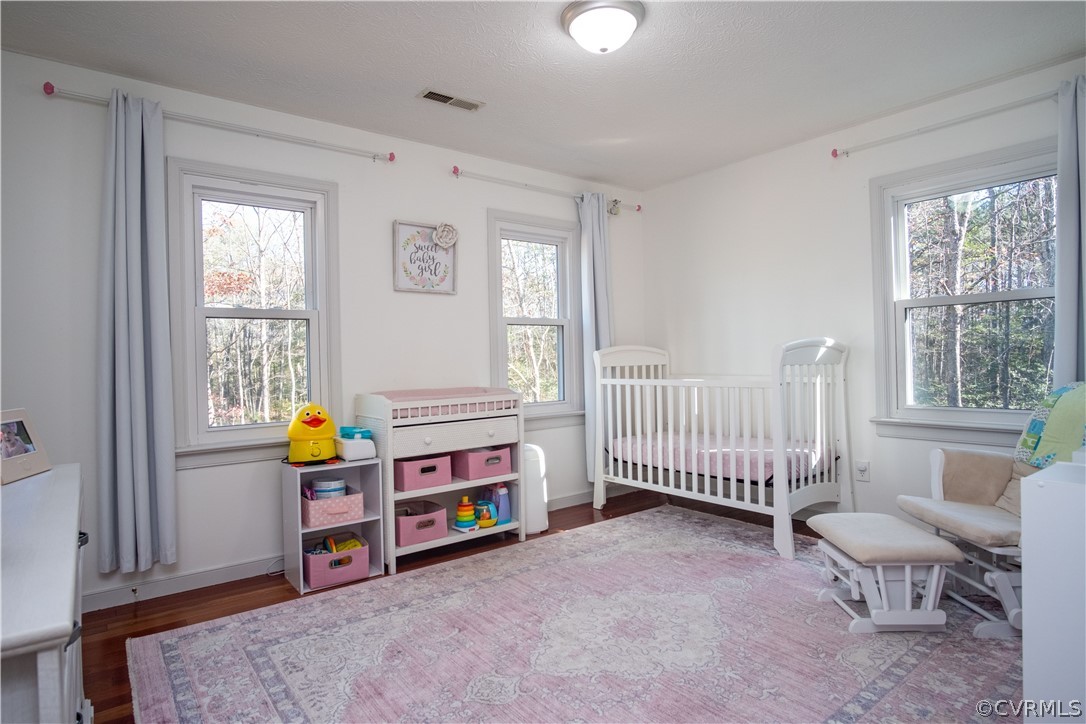 712 King William Road Hanover, VA 23069 - Photo 33 of 48 Bedroom 2 with small WiC