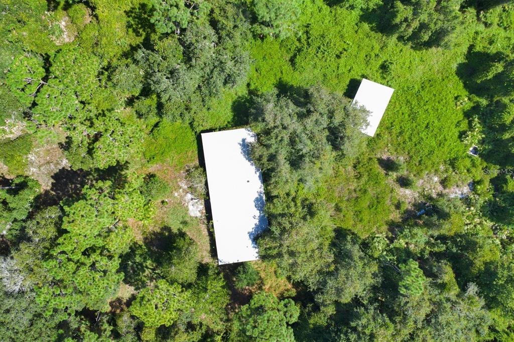 2795 Absher Road St. Cloud, FL 34771 - Photo 11 of 12 a view of a yard with plants