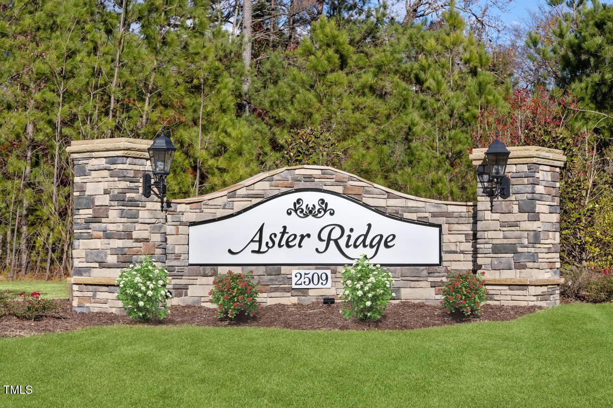 2214 Rabbitbrush Street Durham, NC 27704 - Photo 17 of 17 KBRAL_Aster_Ridge_Monument4933-11x (3)