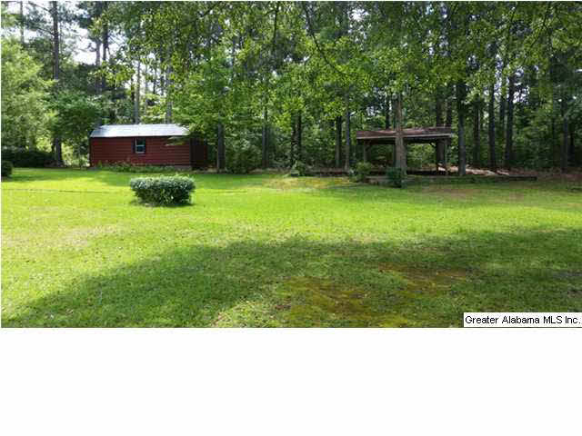 201 Blue Spring Trail Cropwell, AL 35054 - Photo 19 of 21
