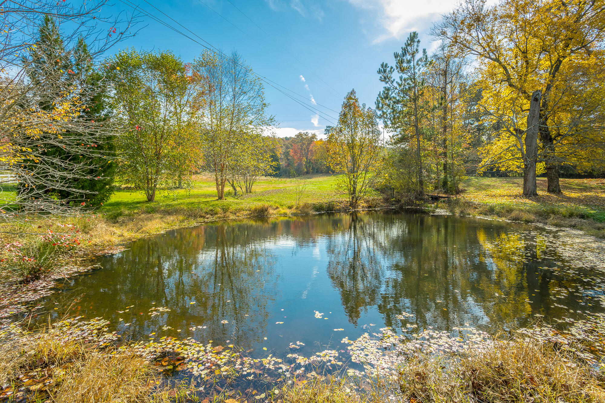 4110 Bill Jones Road Apison, TN 37302 - Photo 47 of 53 4110 Bill Jones Rd. I HD-83