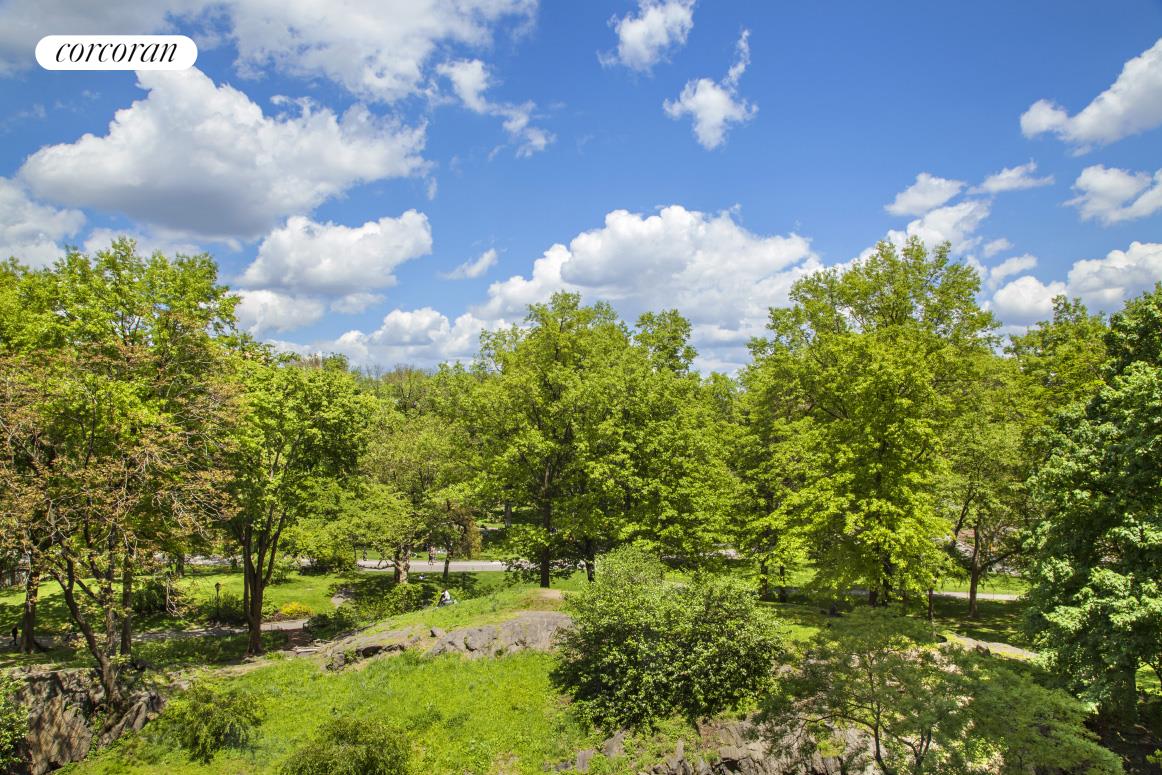 160 Central Park South, Unit 401A Manhattan, NY 10019 - Photo 3 of 23