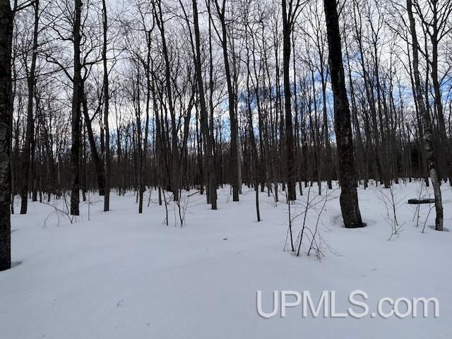 53554 North Superior Road Houghton, MI 49931 - Photo 22 of 41