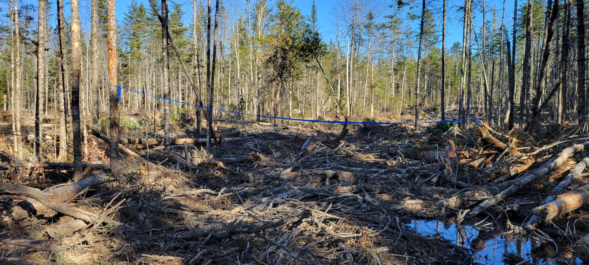 49 Sis Porter Road Sedgwick, ME 04676 - Photo 33 of 39 Lot 16