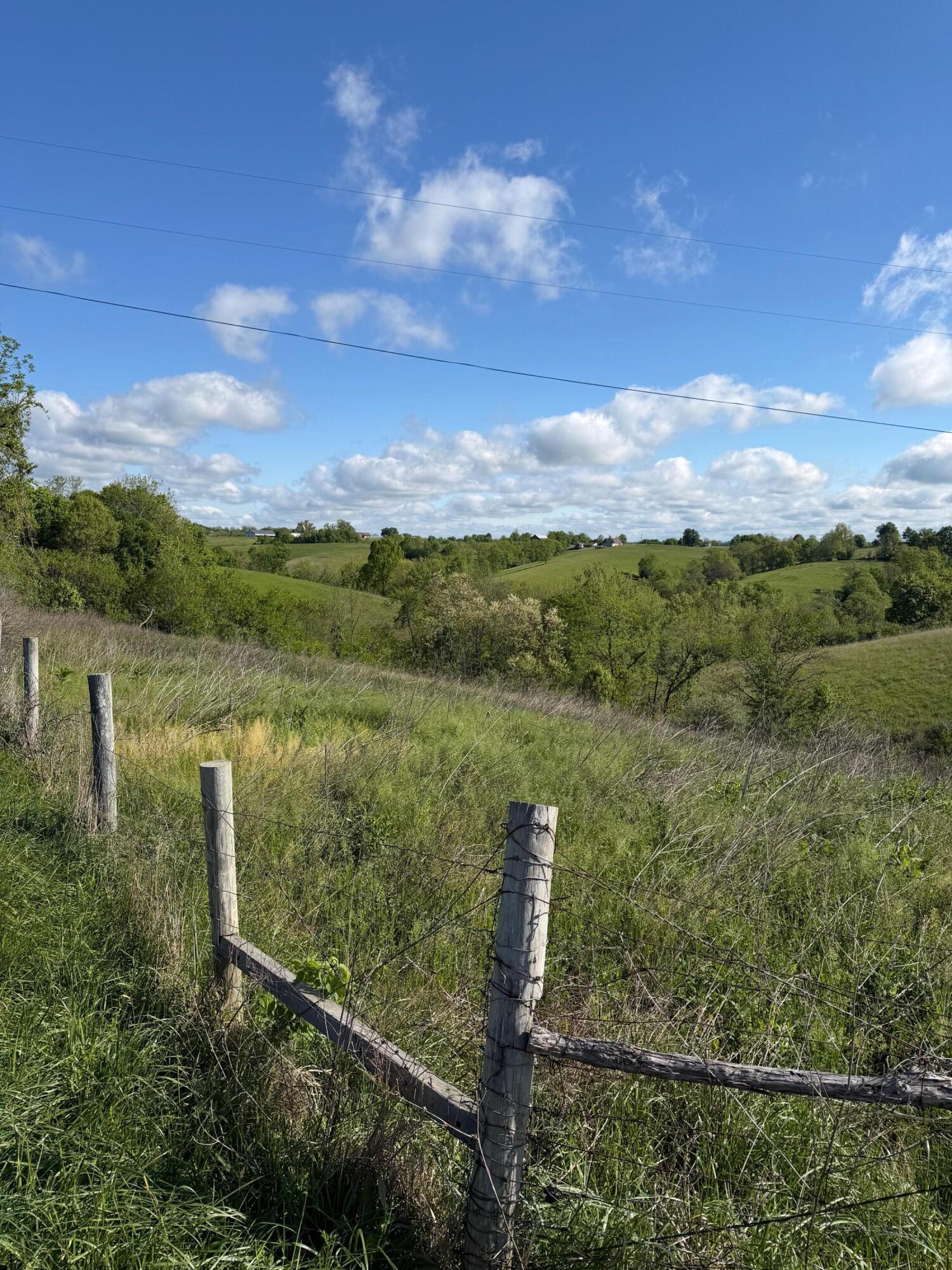 32.28-ac Chipman Ridge Road Williamstown, KY 41097 - Photo 5 of 13