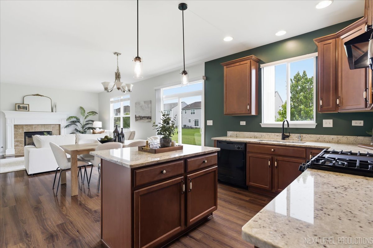 5734 Oak Ridge Way Lisle, IL 60532 - Photo 16 of 33 a kitchen with stainless steel appliances granite countertop a stove a sink dishwasher a refrigerator white cabinets wooden floor and a large window